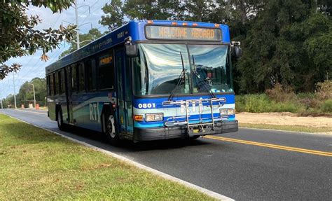 buses to gainesville.